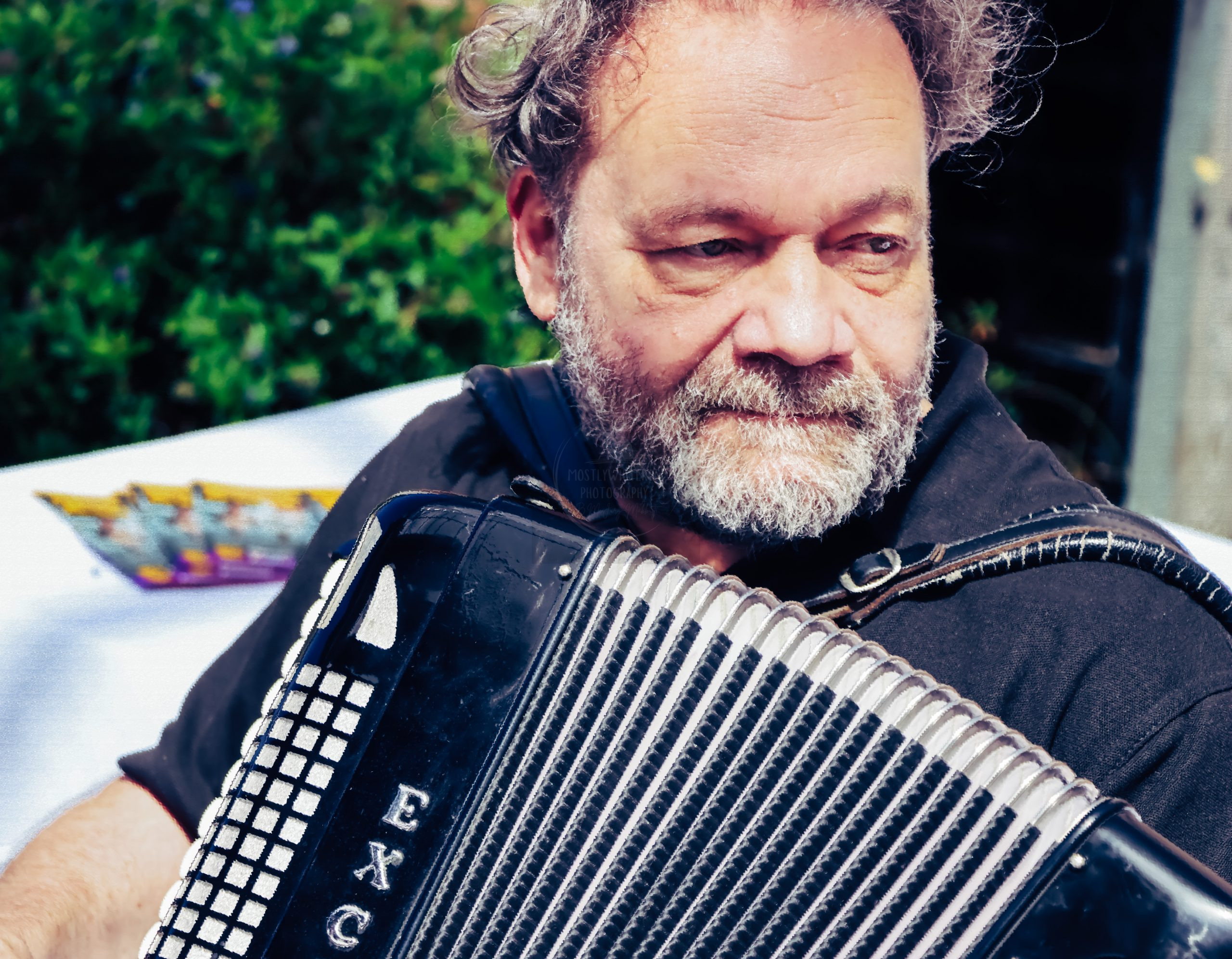 accordion player close up thoughtful beard excelsior entertainer minstrell