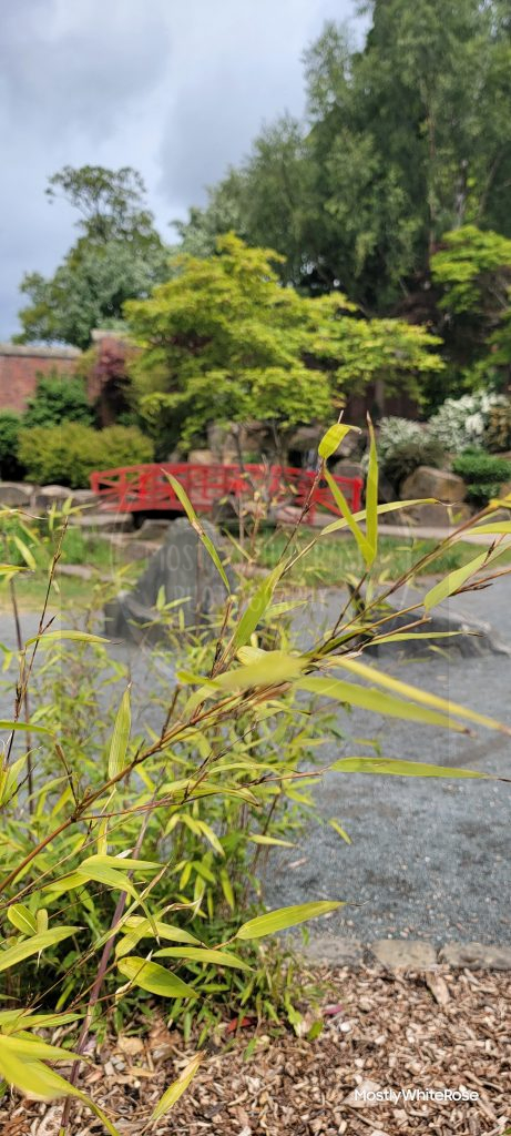Japanese Garden Hall Park Horsforth Leeds bamboo and bridge